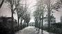 1941, viale dei Tigli ( ora via delle Granze ) a Camin